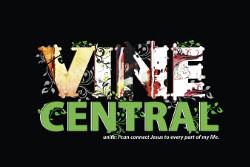 KidTOUGH <i>Vine Central (John 15)</i> Curriculum Download