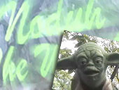 NoDuh, the Wise One