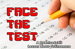 High Voltage Kids Ministries Face the Test Curriculum Download