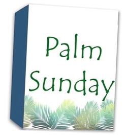 Palm Sundy