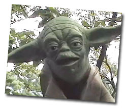 NoDuh, the Wise One