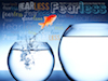 KidTOUGH: Fearless Curriculum Download