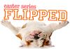 KidTOUGH: Flipped Curriculum Download
