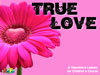 RealFun <i>True Love</i> Valentine's Day Curriculum Download