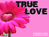 RealFun: True Love Valentine's Day Curriculum Download