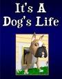 River's Edge <i>It's a Dog's Life</i> Kids Church Curriculum Download