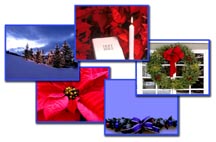 Worship Photos Christmas Reflection & Winter Beauty: Christmas Volume 2 (Download Version)