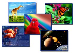 Worship Photos God's Wonderful Creations (Download Version)