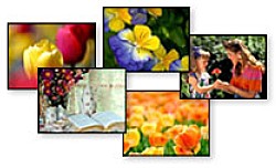 Worship Photos Mother's Day Mini-Collection (Download Version)