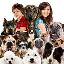 Movie Review: <i>Hotel for Dogs</i>